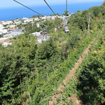 Ristorante LA FENICIA - 農作物などもチェック