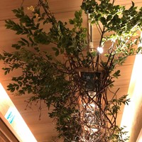 すし処 めくみ - 