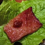 松庵 - サンチュと