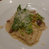 アマルフィイ・モデルナ - 