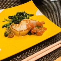 WASHOKU 蒼天  - 