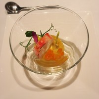 XEX TOKYO / Salvatore Cuomo Bros. - 