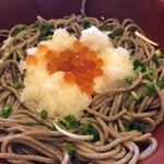 Nakaumino Sato - おろし蕎麦