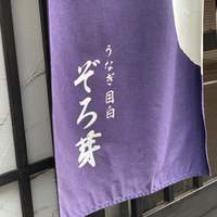 うなぎ 目白ぞろ芽 - 