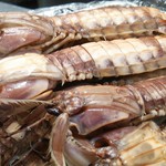 とれたて北海道