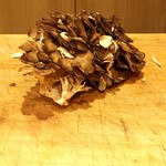 天ぷら たけうち - 箱から取り出したばかりの山形産天然舞茸、BIGサイズです