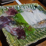 活魚料理　武蔵 - アオリイカ