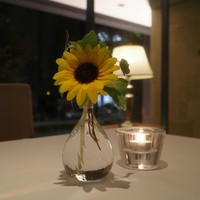 カーザ ヴィニタリア - 