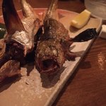 japanese restaurant 旬菜 籐や - でっかい ハタハタ