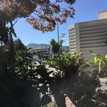 ナチュラル　カフェイーナ - 