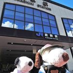 町家喫茶 三宅商店 - ボキらはJR岡山駅から4つ隣の倉敷駅にやってきました～倉敷は岡山県で人気の観光地なんだよ。今晩、ボキらが泊まるのも倉敷なの。ちびつぬ「まずはホテルにチェックインしましょう～」