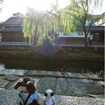 Machiyakissa Miyakeshouten - 倉敷川に出るとすごくいい眺め♪この辺りは倉敷市の中心部で、江戸幕府の直轄地として栄えた当時の面影を残す町家や土蔵が多く残されているんだよ。