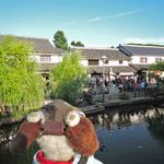 町家喫茶 三宅商店 - 橋の上からの眺めもいいね～♪沿道には観光客がぎっしりいるのがよく分かるよ。外国からのお客さんも多いね。