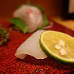 こころや - 赤イカ