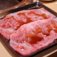 近江うし焼肉 にくTATSU 銀座店 - 