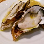 arco - 三陸の生カキ