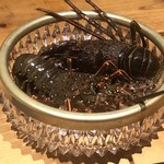 温石 - 地物の伊勢海老が登場