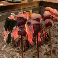 柳家 - いのしし