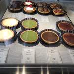 アサコ イワヤナギ プリュス - 