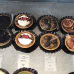 アサコ イワヤナギ プリュス - 