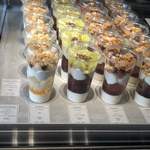 アサコ イワヤナギ プリュス - 