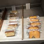 アサコ イワヤナギ プリュス - 