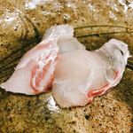 うを徳 - 明石鯛