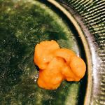 うを徳 - 生海胆