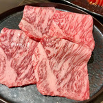 SATOブリアン にごう - トロけるサシ