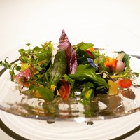 レフェルヴェソンス - ☆お野菜たち(#^.^#)☆