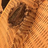 三田牛竈炭火焼 ウェスタ - 