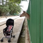 豆鹿喫茶 - ベビーカーにいた赤ちゃん食べた鹿？