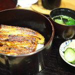 瞬 - うな丼（浜名湖東岸の天然鰻）