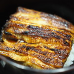 瞬 - うな丼（浜名湖東岸の天然鰻）