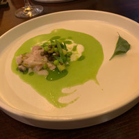 セルサルサーレ - 