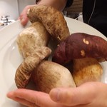 銀座 大石 - セップ茸