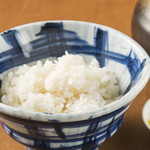 rice set