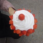 Mochikaeri Parfait Berry