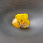 プレゼンテ スギ - 