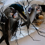 プレゼンテ スギ - 感謝していただく