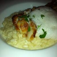 RESTAURANT DAZZLE - 