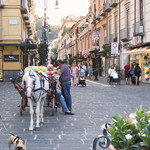 L'Antica Trattoria - いつも白馬が此処に・・♡