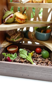 호텔 브레스톤 코토 자 라운지