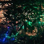 カンテ グランデ - 