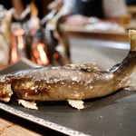 柳家 - 天然子持ち鮎塩焼き