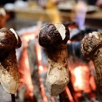 柳家 - 焼き松茸