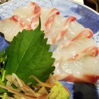 銀座米料亭 八代目儀兵衛 - 鯛の刺身は厚みがありプリップリ