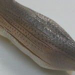 おかざき - 小肌