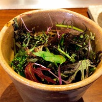 くずし鉄板 あばぐら 神田店 - 赤水菜のサラダ