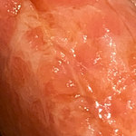 寿し おおはた - 